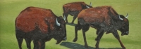 Prairie Bison SOLD