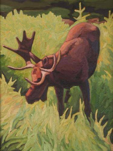 Poudre Moose